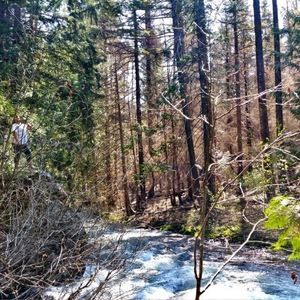 Meet your Posher, Selma